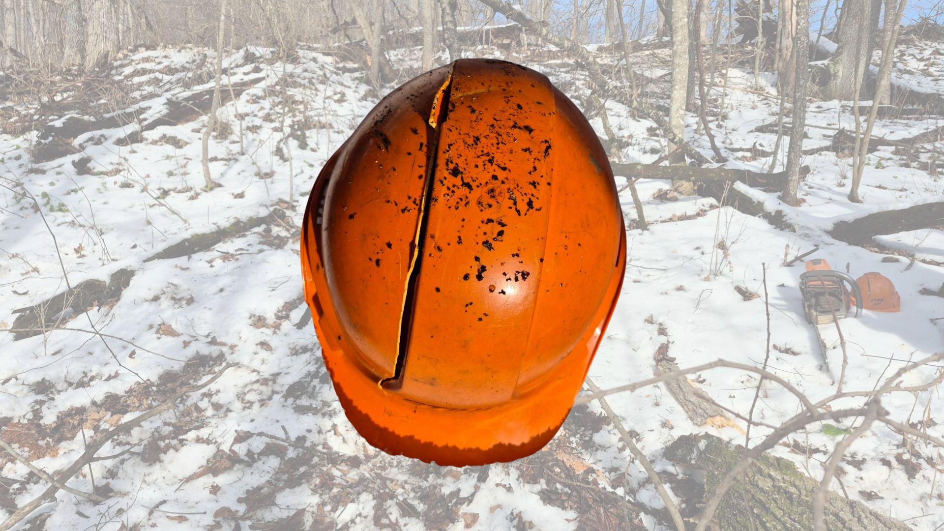 UPDATE: The name of the logger injured in a mishap Wednesday afternoon in rural Viroqua has been released